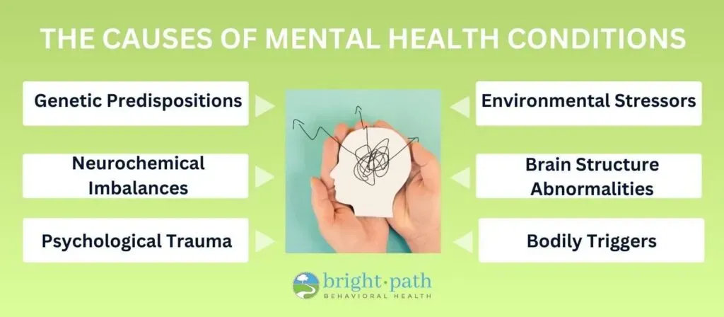 Infographic showing causes of mental health conditions