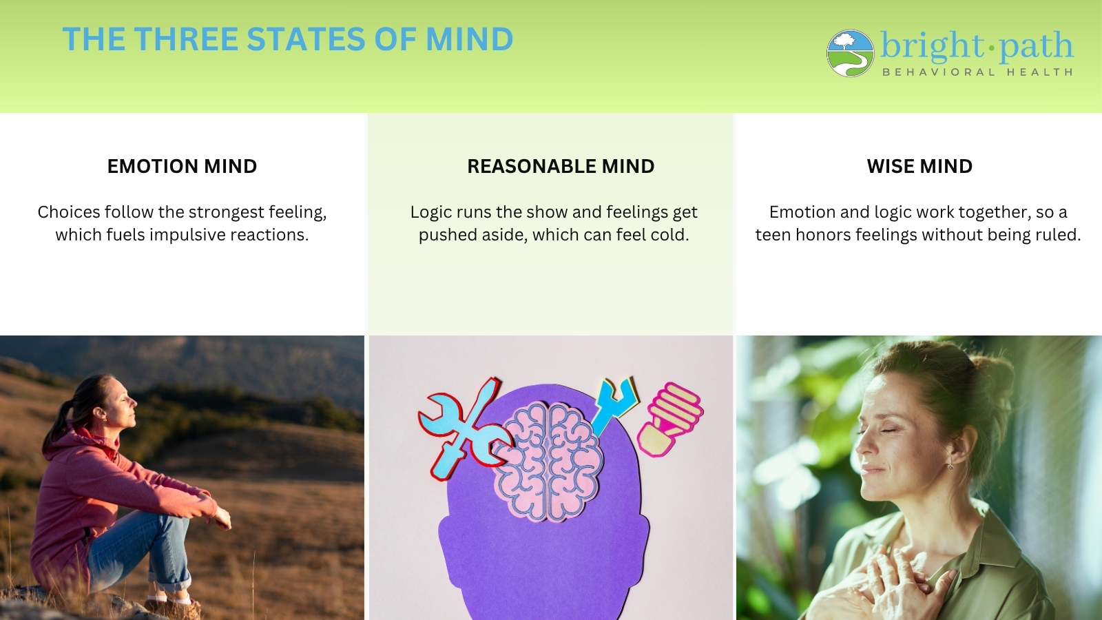 three states of wise mind for teens