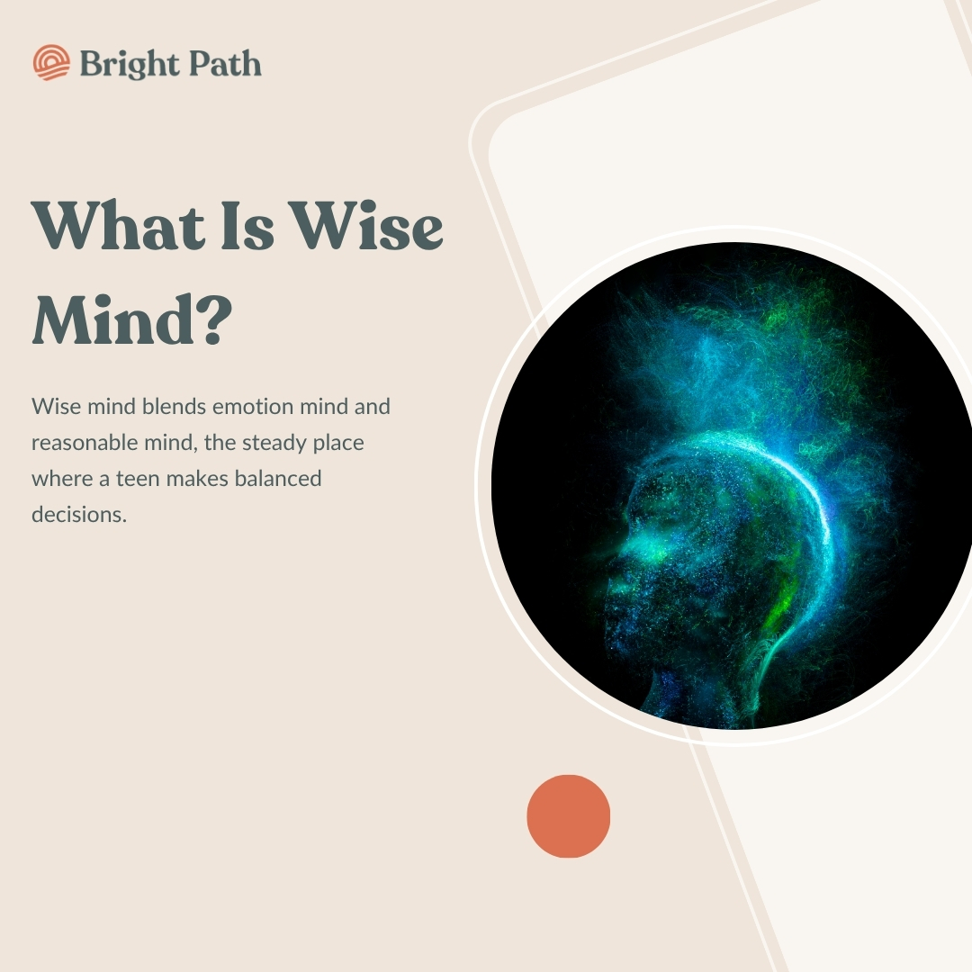 what is wise mind for teens